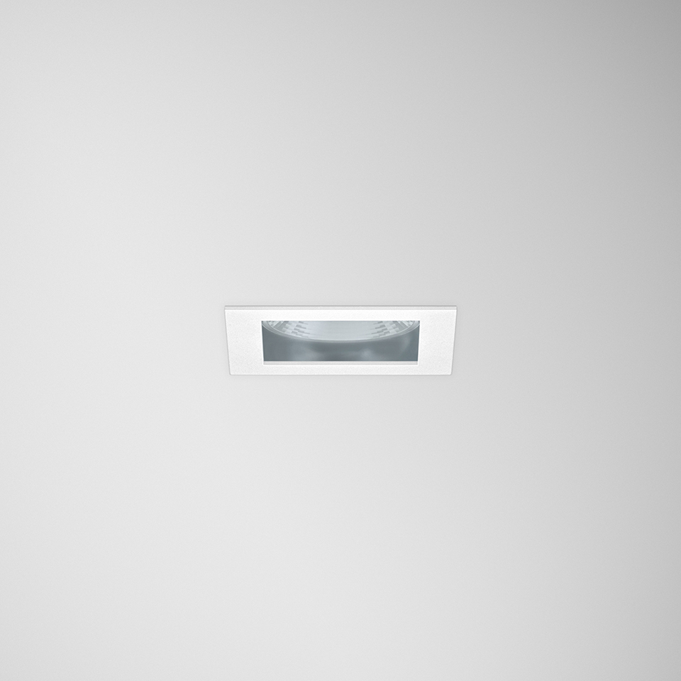FESAL SQ IP