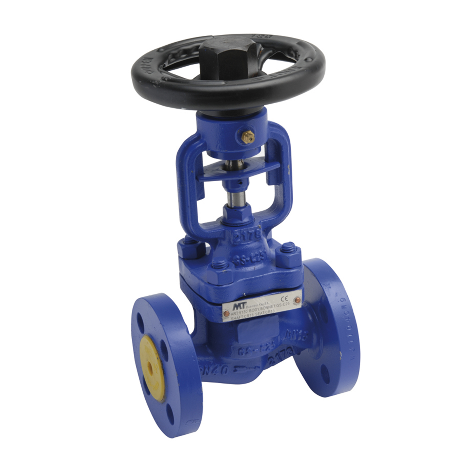 Cast Steel Bellow Globe Valve PN16 ANSI Flanged Ends