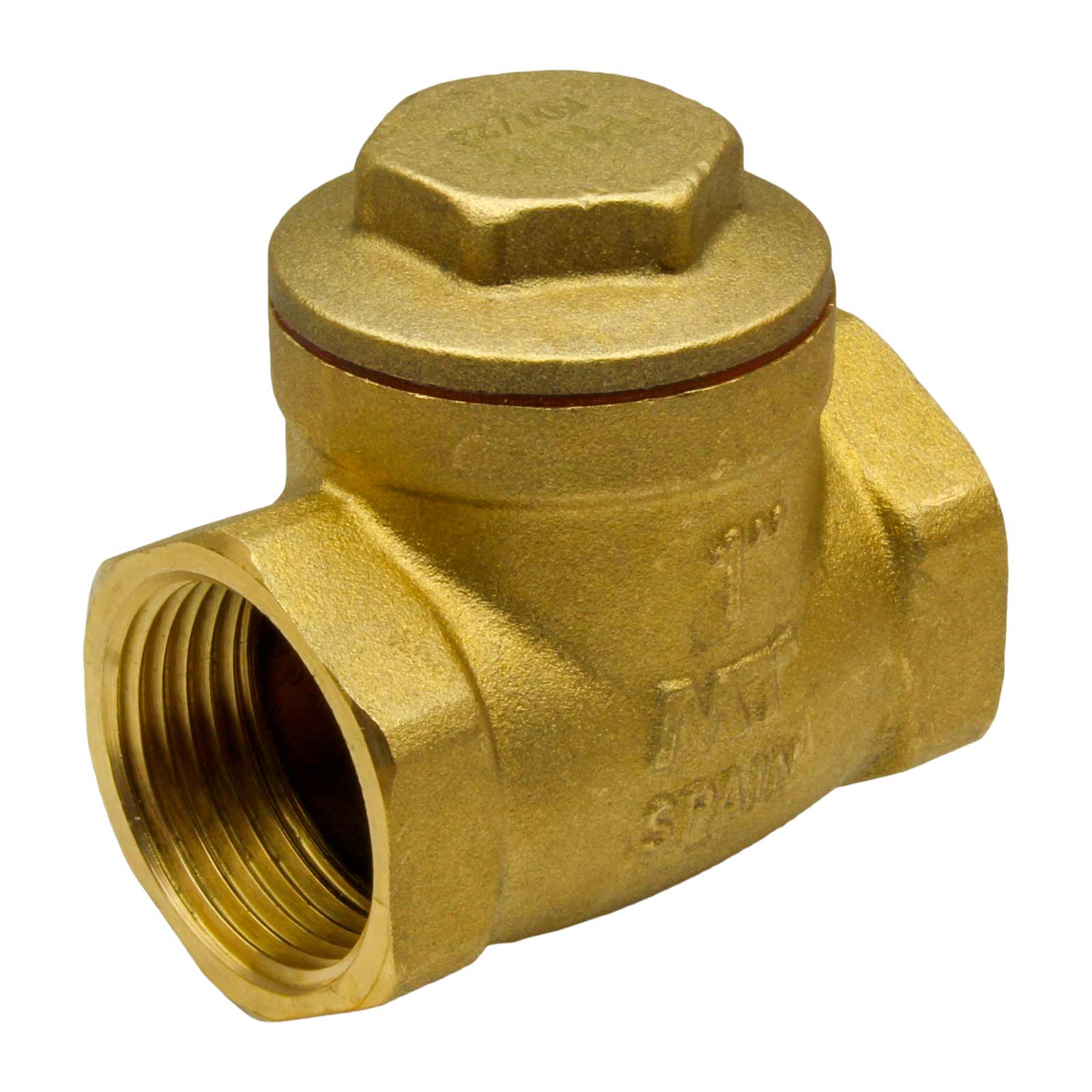 F-F Rubber Washer Swing Check Brass Valve PN16