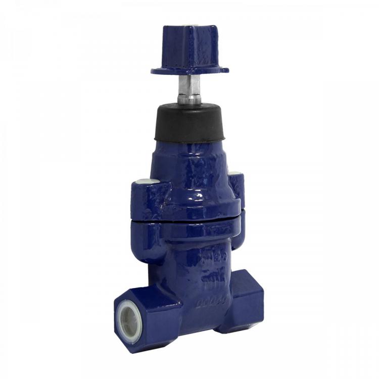 Cast Iron Resilient Wedge Gate Valve PN16 Threaded Ends EPDM
