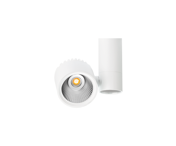 ZEN TUBE SURFACE