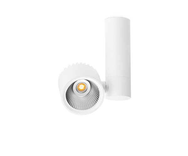Zen Tube Surface