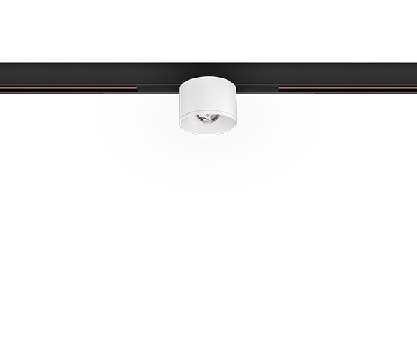 Puck S 48V Short