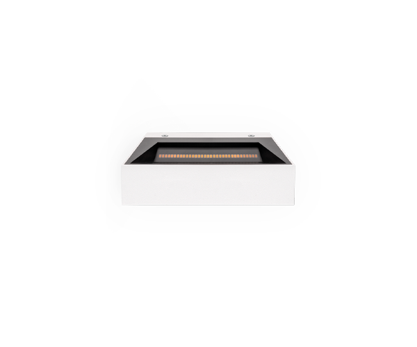 Rec Asymmetric Mini