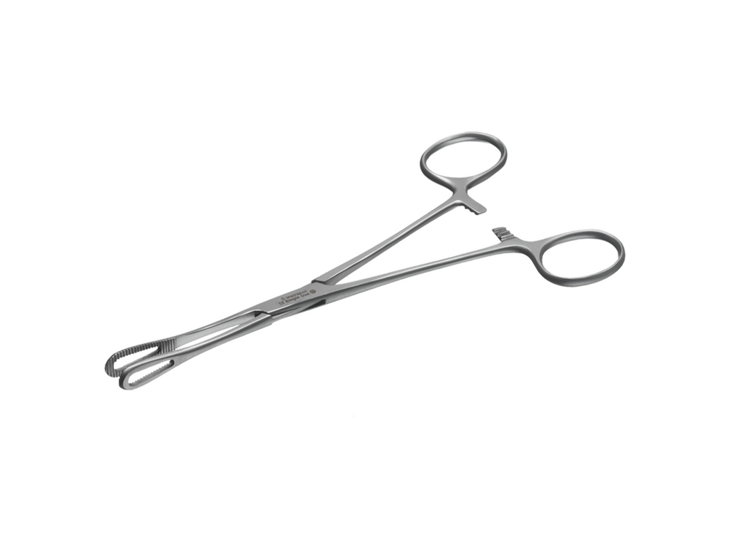 Instrapac® Rampley Sponge Holding Forceps  18cm Image
