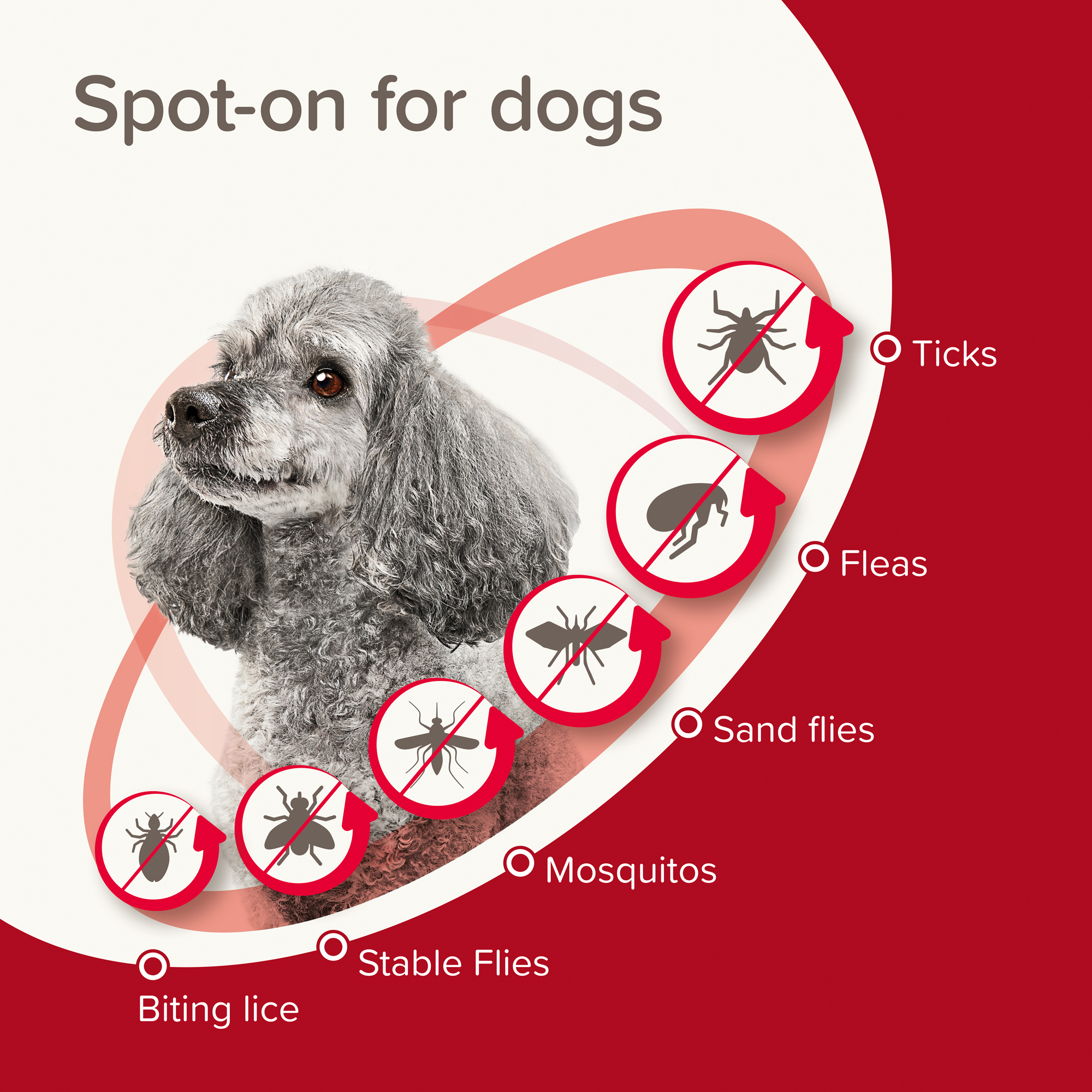 Beaphar ProtecTix Dog 10-25kg
