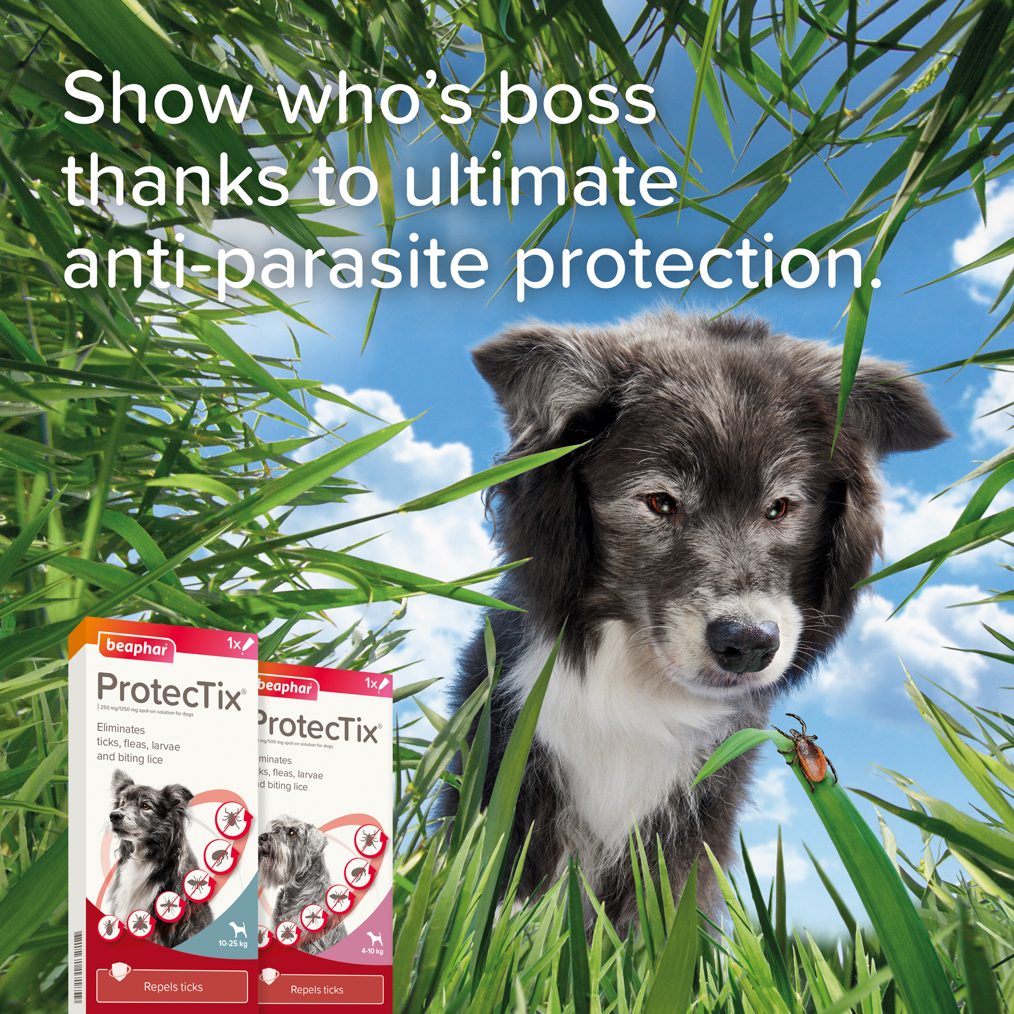 Beaphar ProtecTix Dog 10-25kg