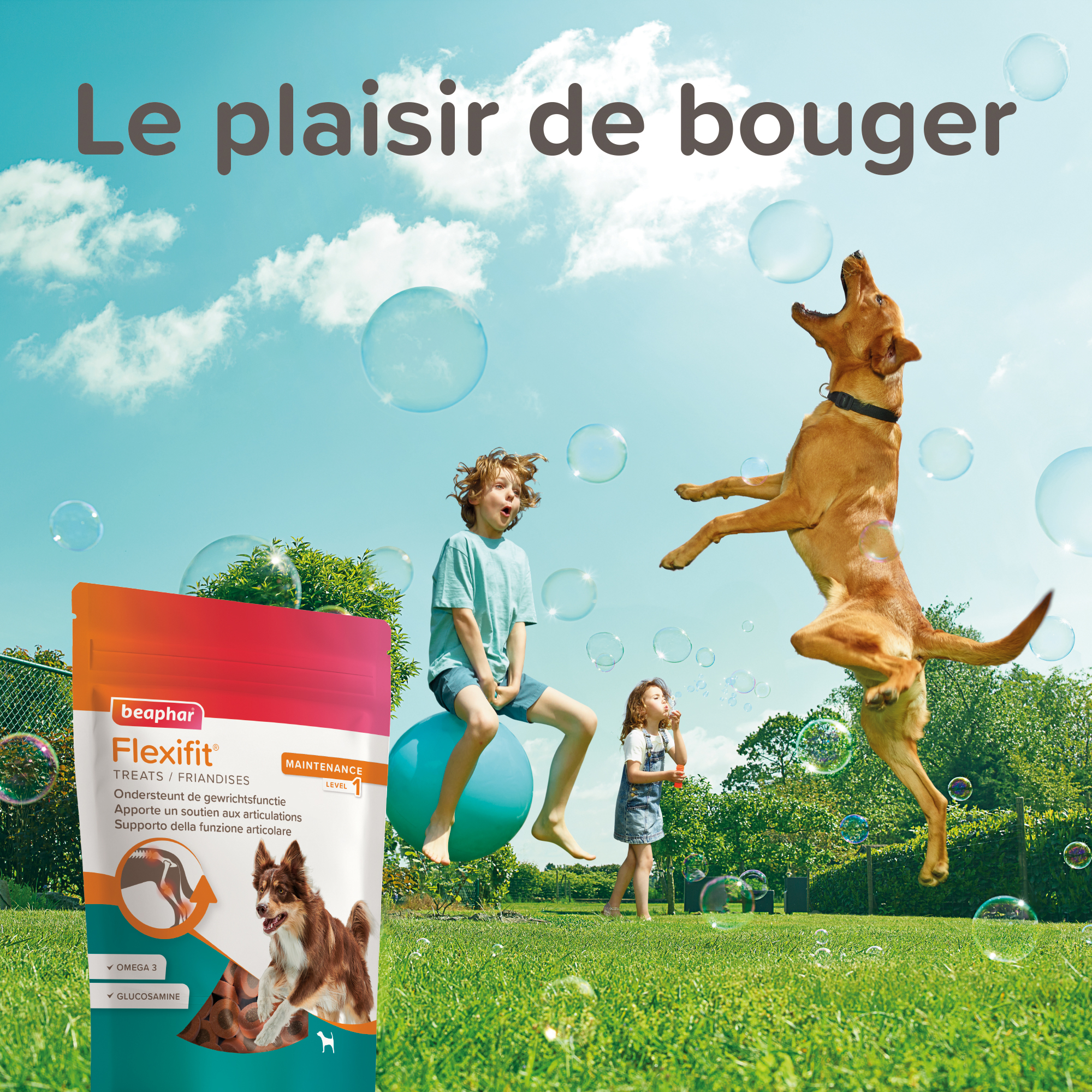 Flexifit®, Friandises articulations pour chien - 150g