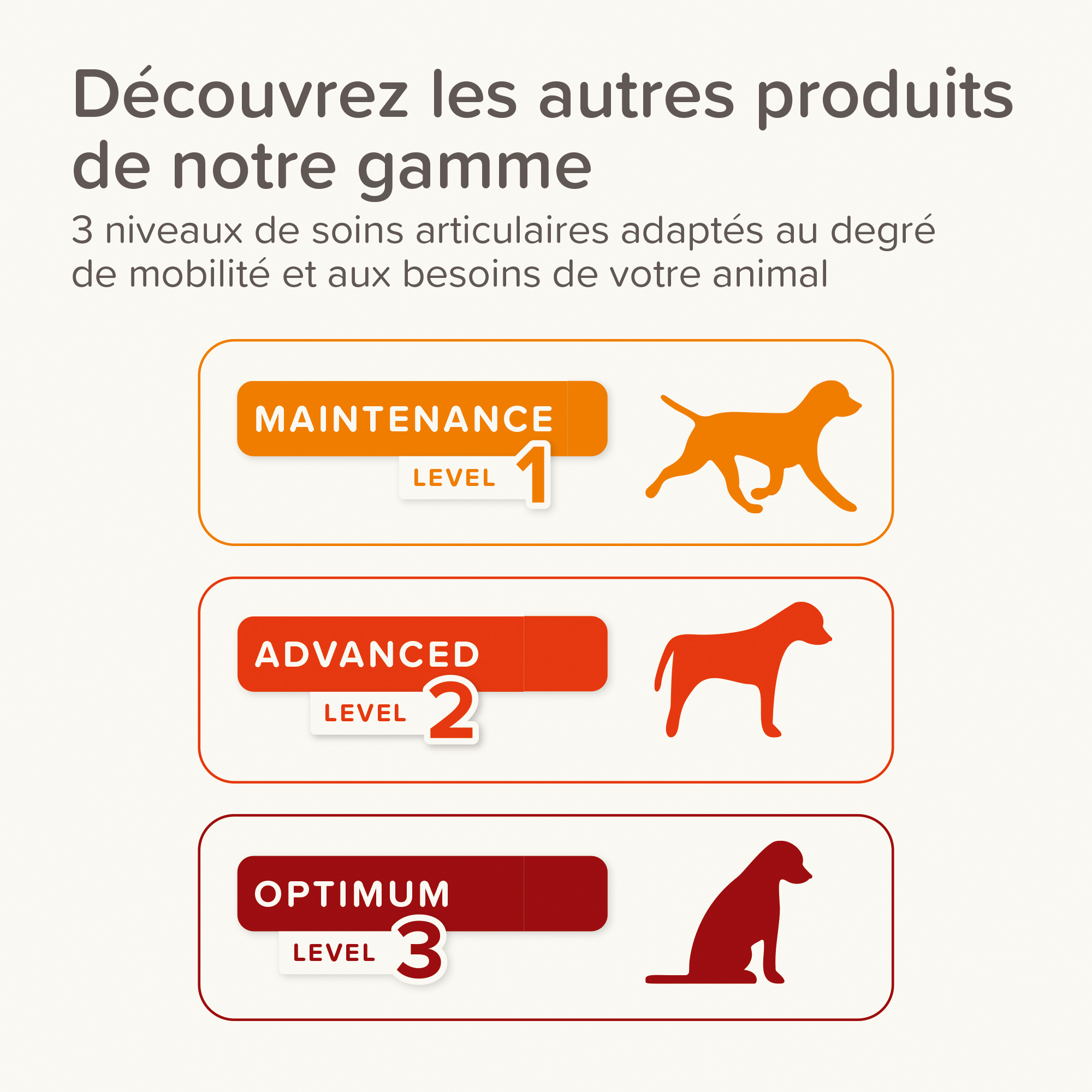 Flexifit®, Bâtonnets articulations pour chien - 7 unités