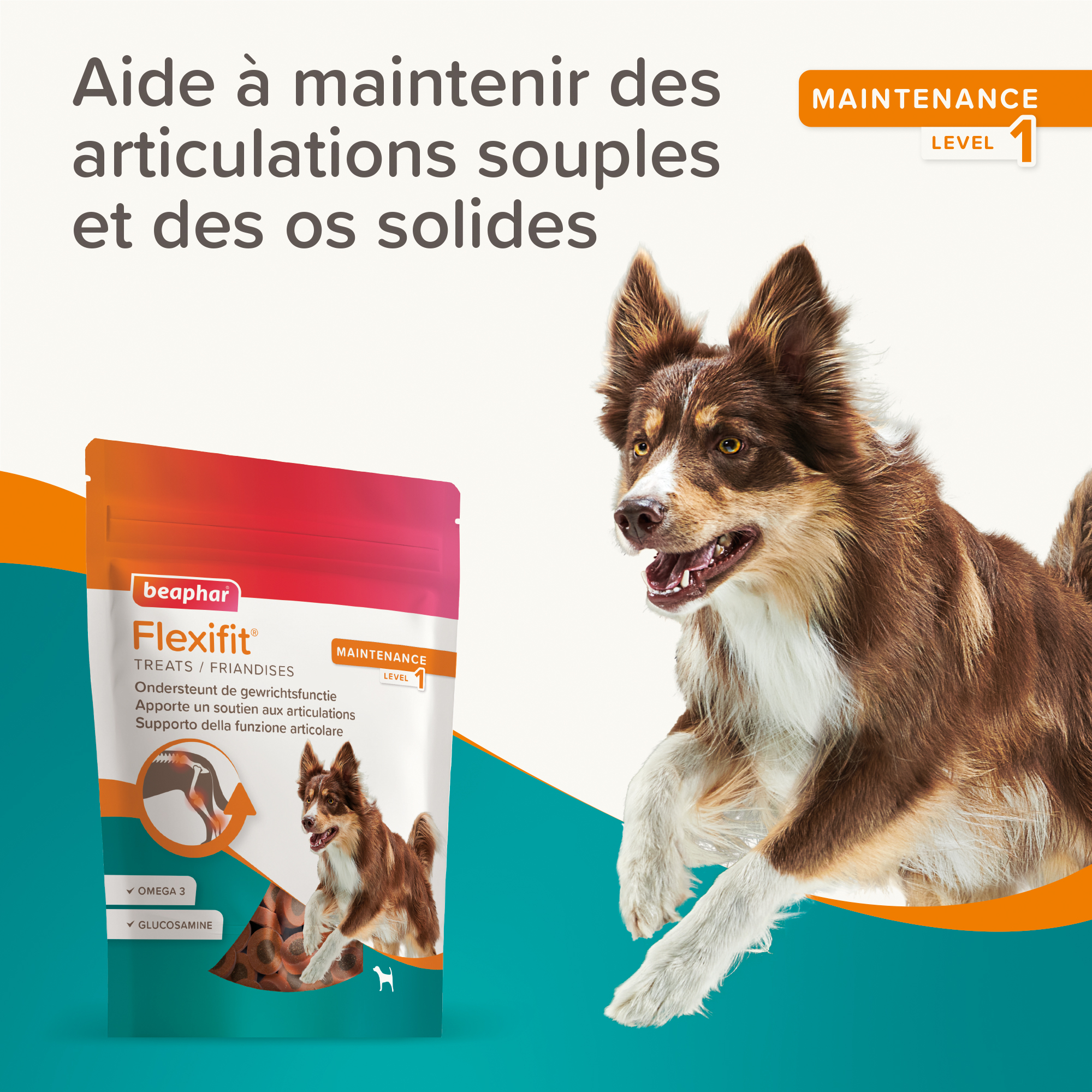 Flexifit®, Friandises articulations pour chien - 150g