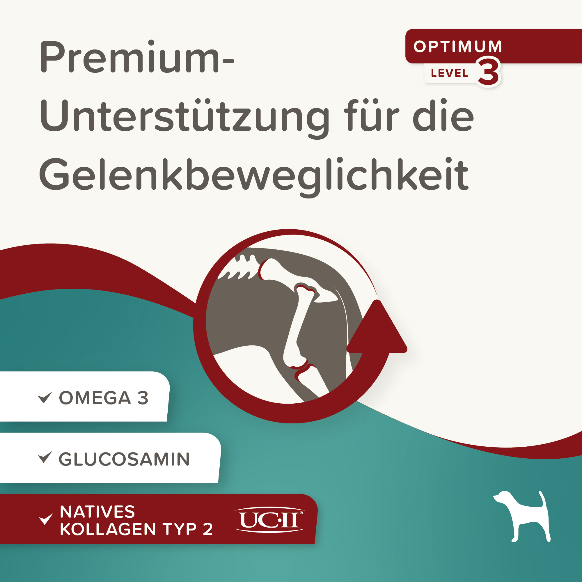 Beaphar Flexifit® Chews, 175g