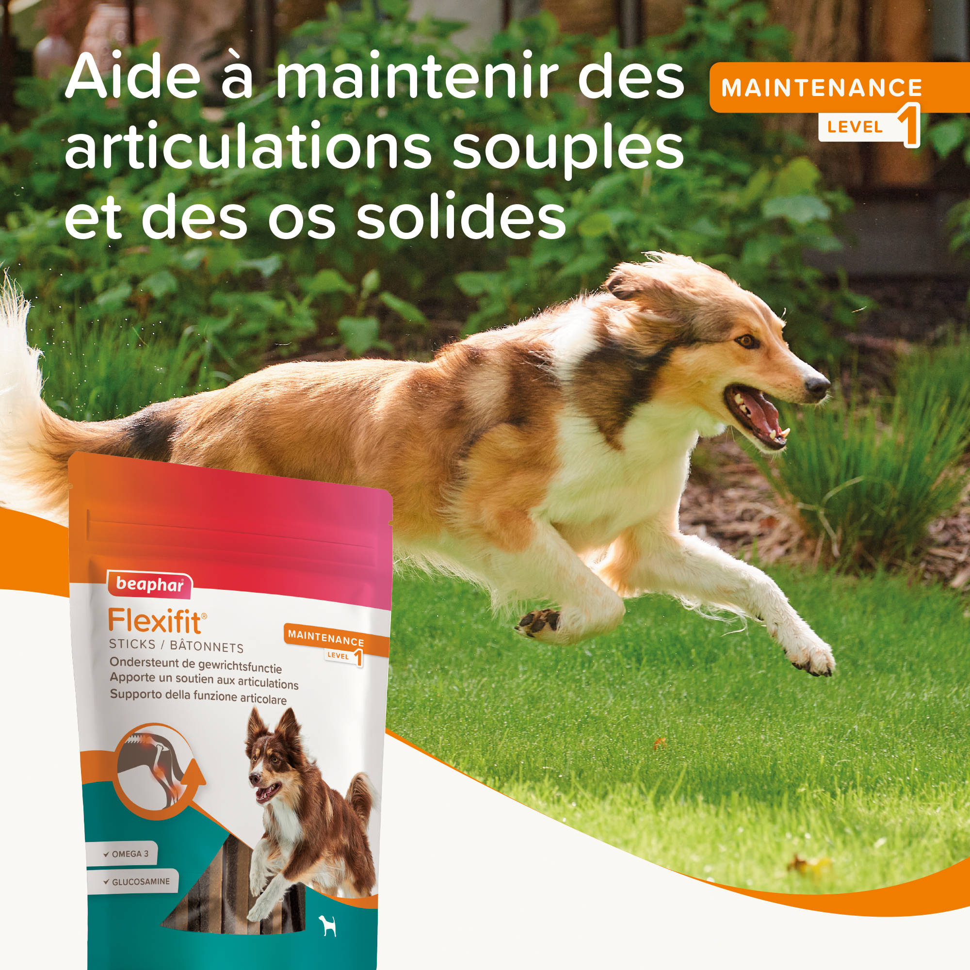 Flexifit®, Bâtonnets articulations pour chien - 7 unités