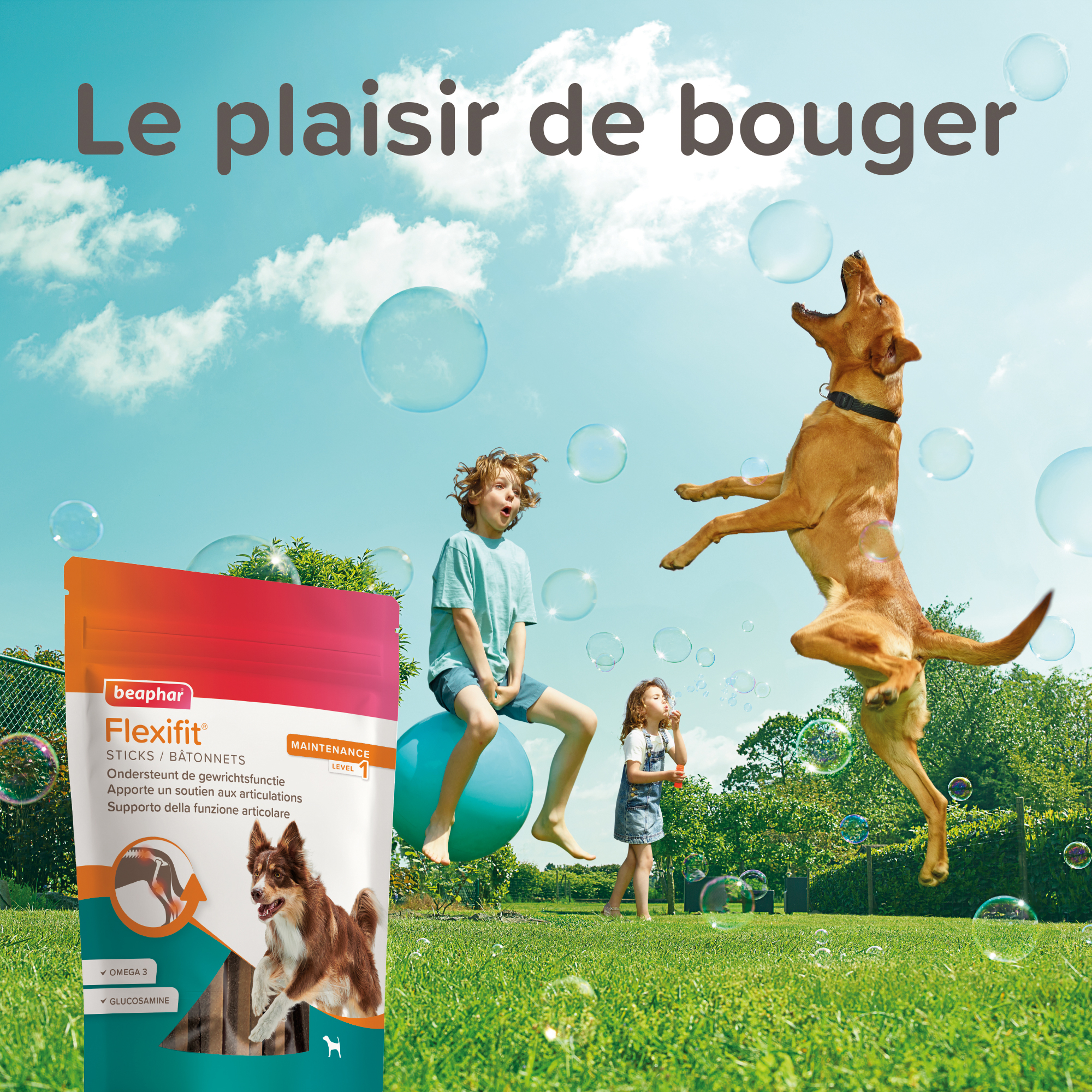 Flexifit®, Bâtonnets articulations pour chien - 7 unités