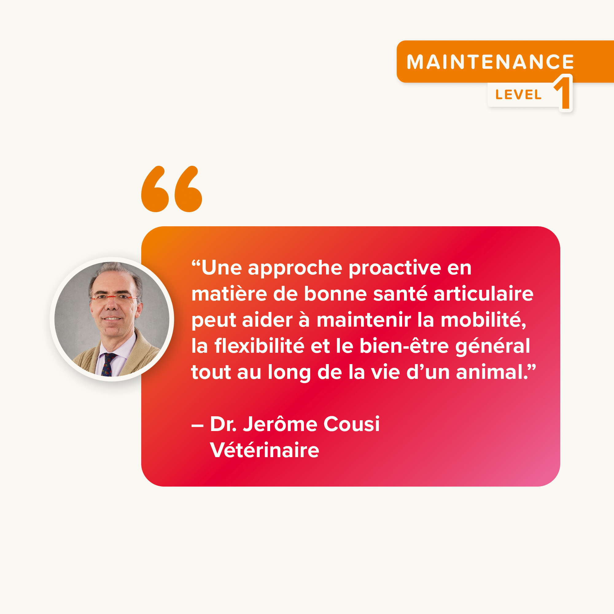 Flexifit®, Bâtonnets articulations pour chien - 7 unités