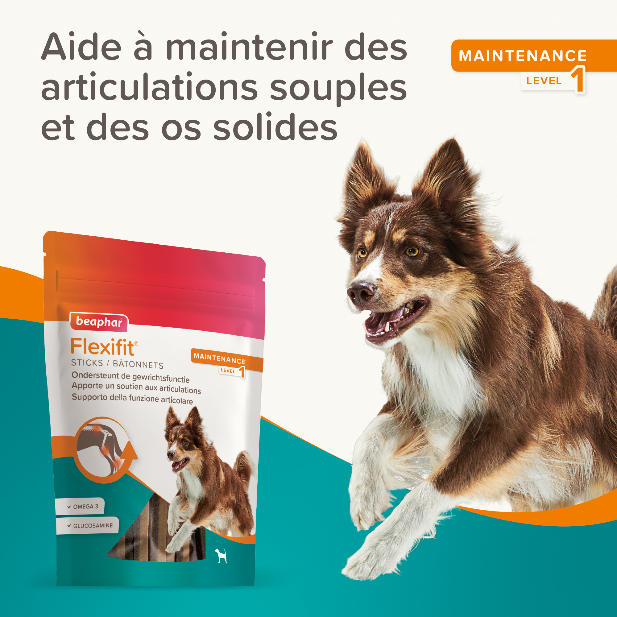 Flexifit®, Bâtonnets articulations pour chien - 7 unités