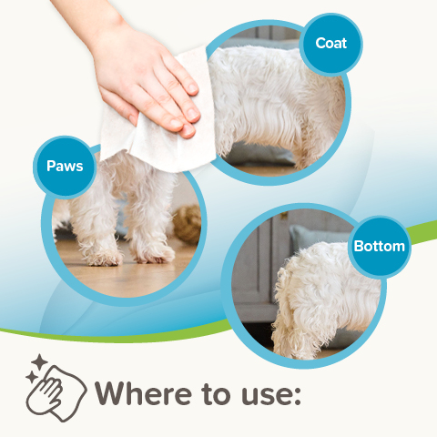 Beaphar Pet Wipes Universal