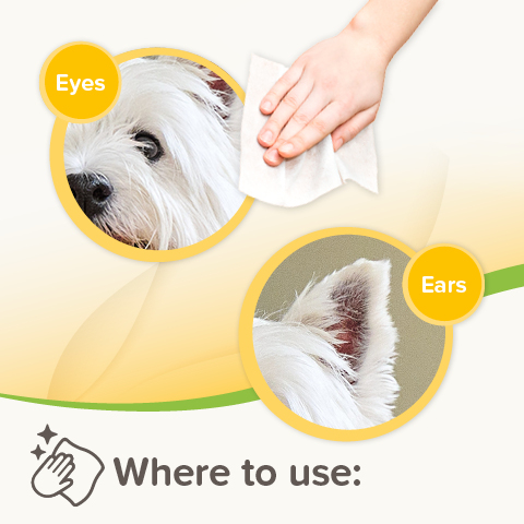 Beaphar Pet Wipes Ear & Eye