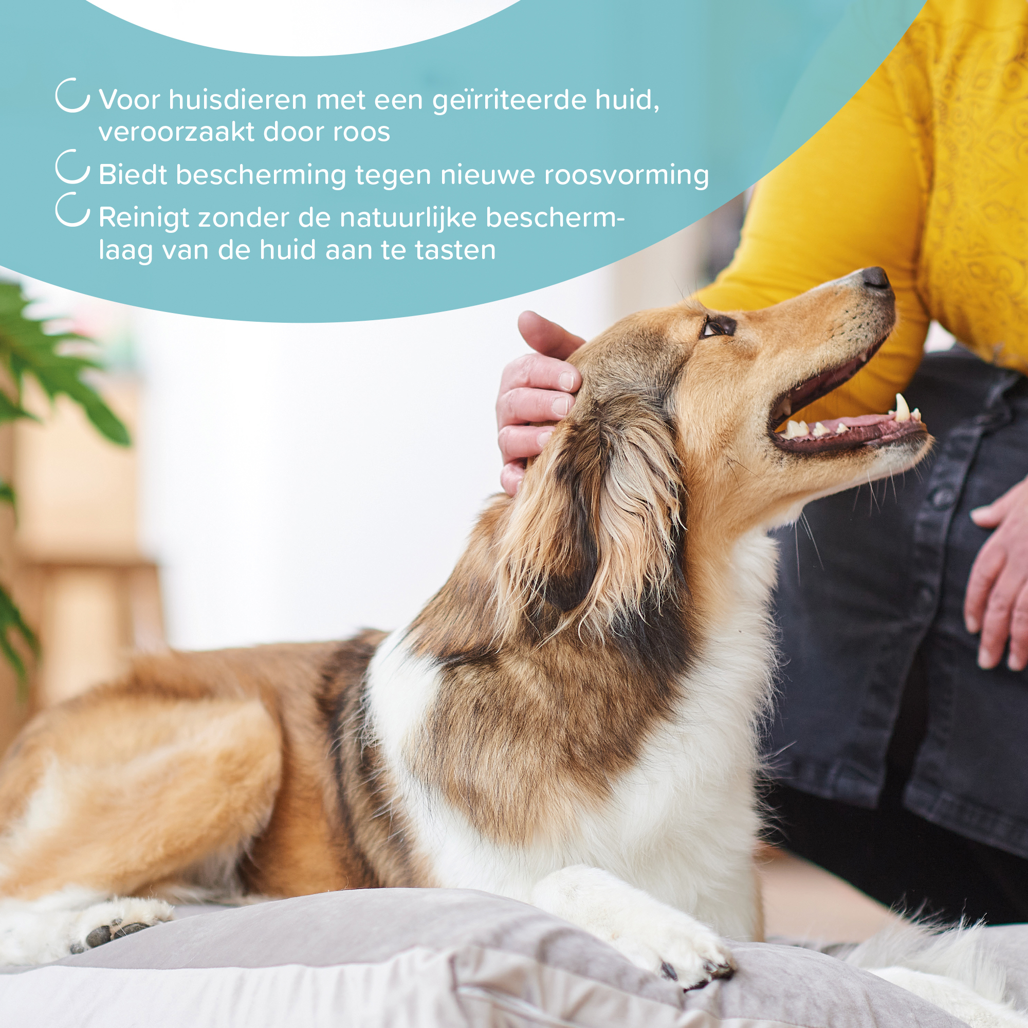 Beaphar Shampoo Anti-Roos 250ml