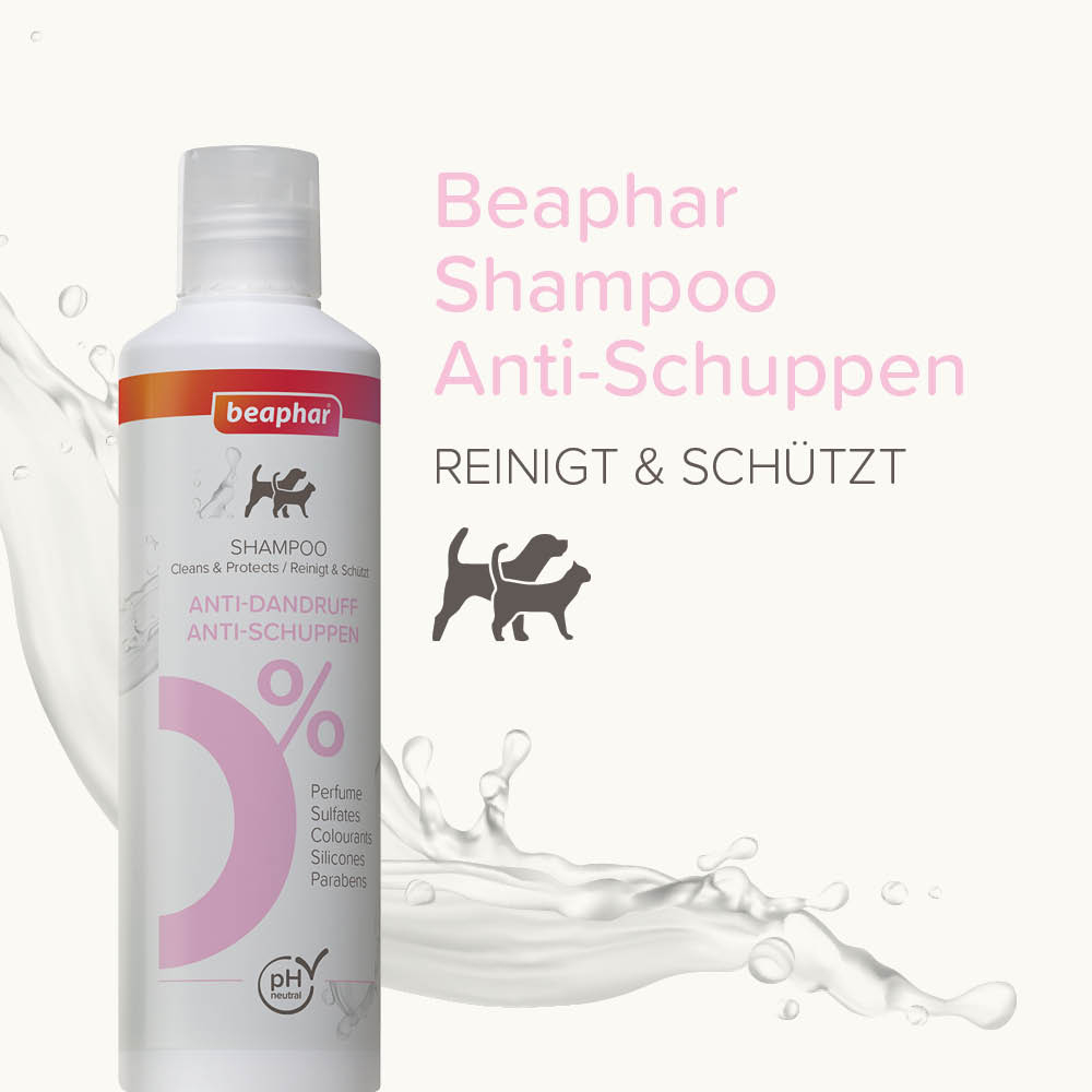 Shampoo Anti-Schuppen, 250ml