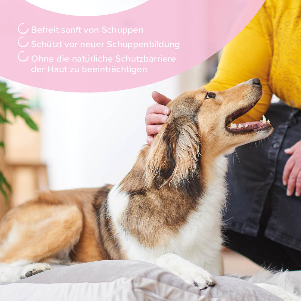 Shampoo Anti-Schuppen, 250ml