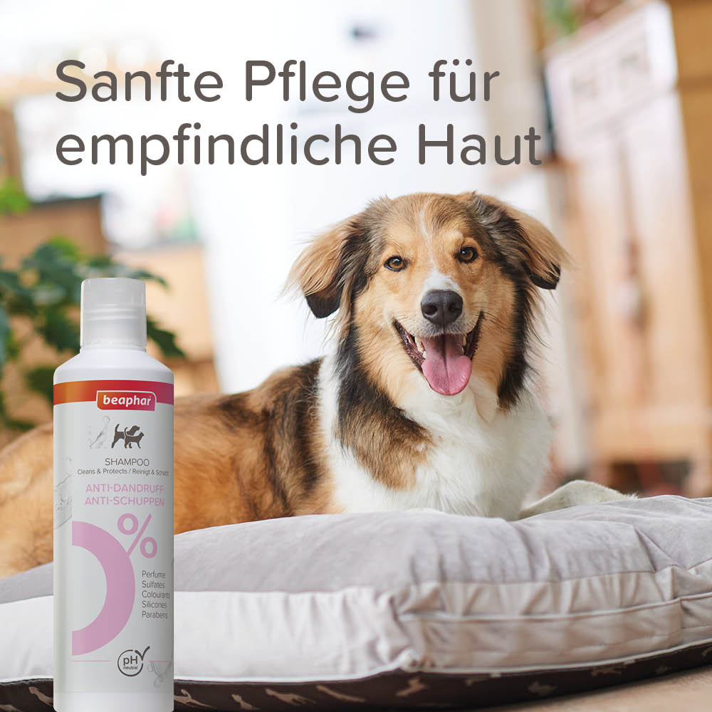 Shampoo Anti-Schuppen, 250ml