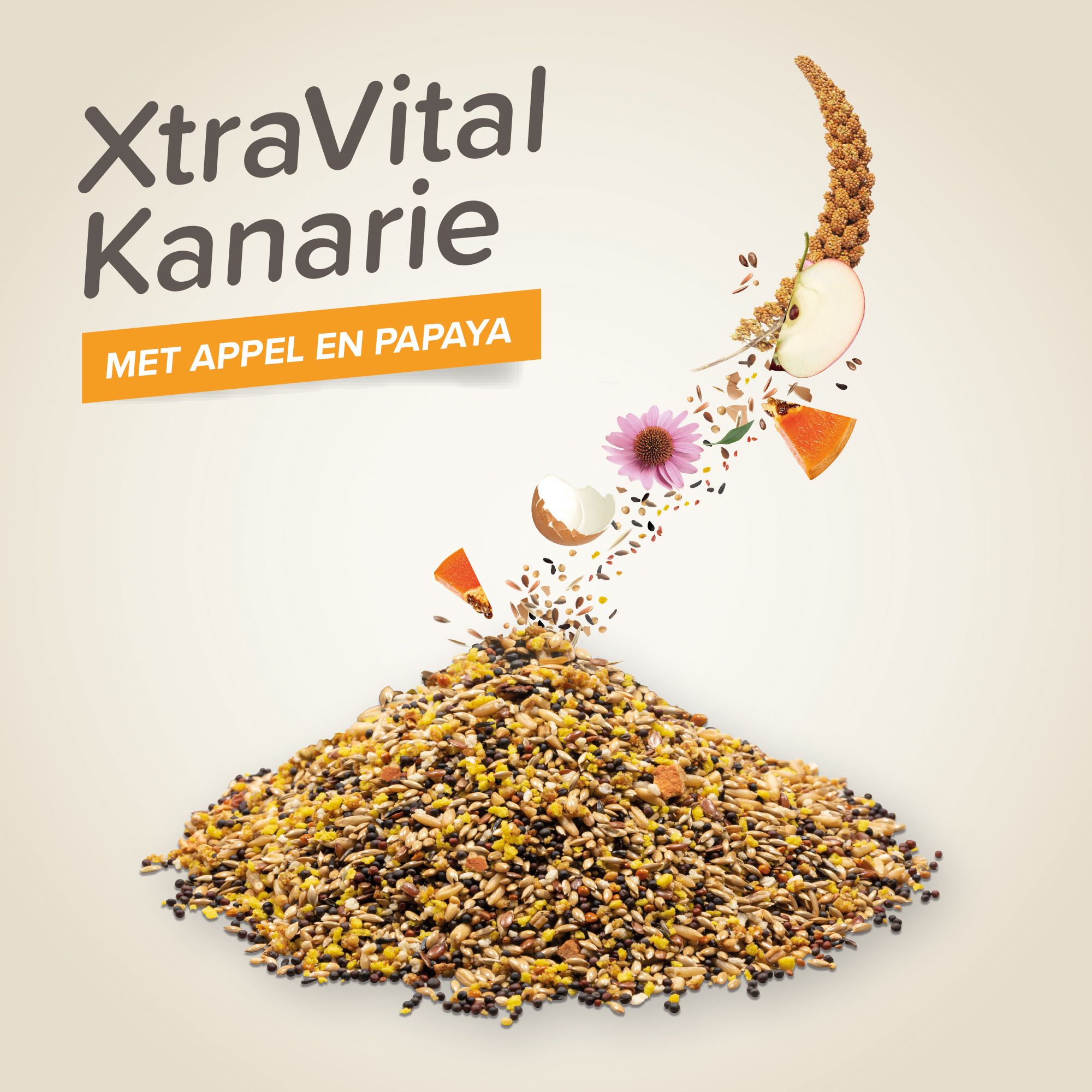 Beaphar XtraVital kanarie 500g