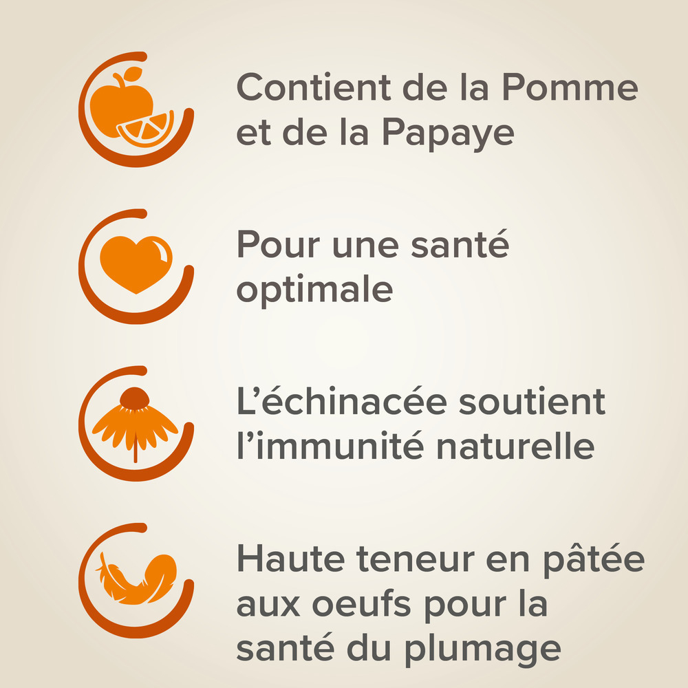 XtraVital Alimentation complète pour Canaris - 500 g