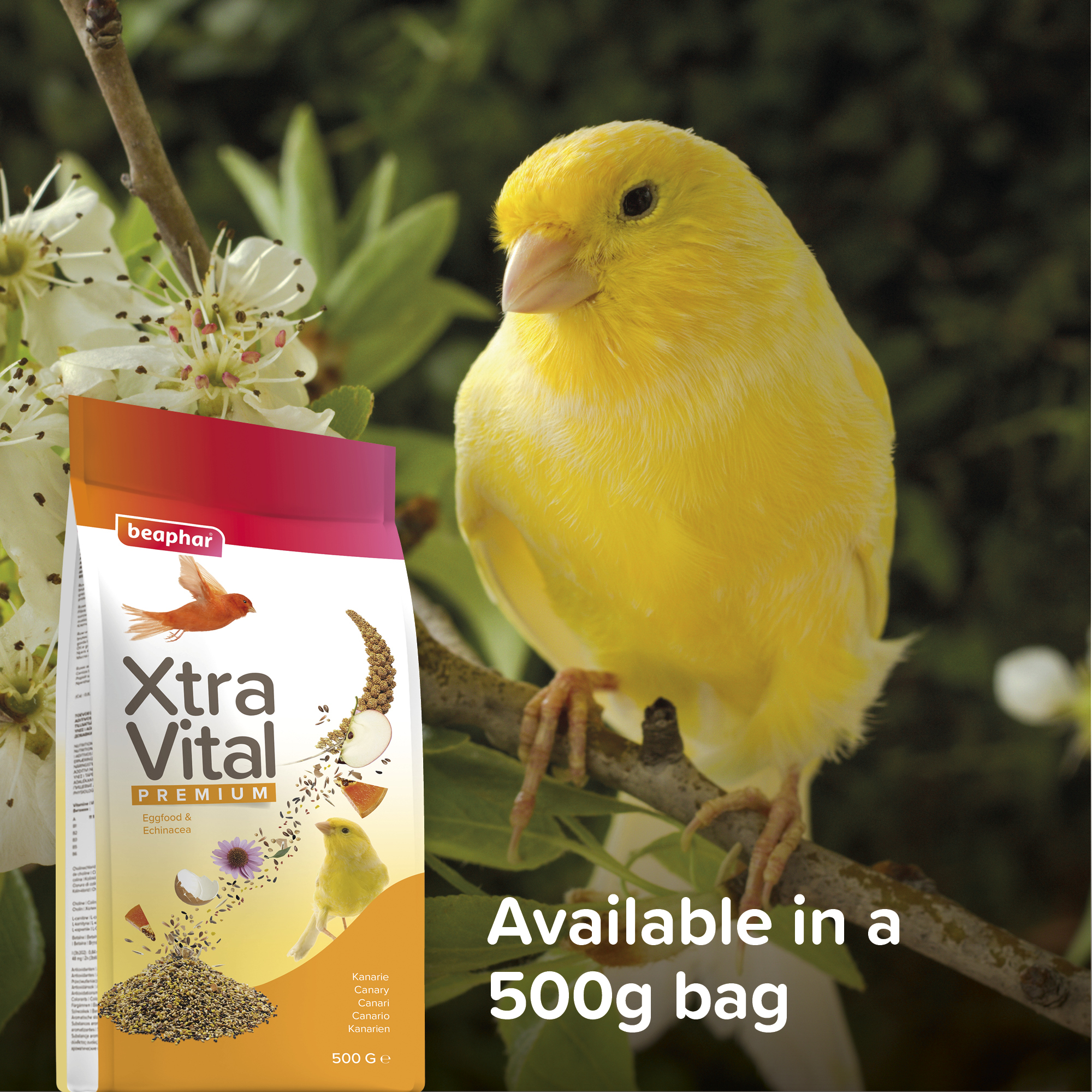 Beaphar XtraVital Canary Complete Bird Food – 500g