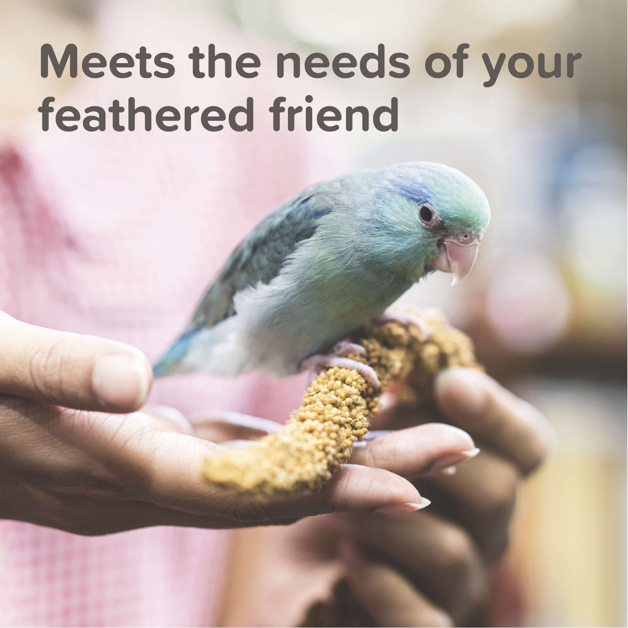 Beaphar XtraVital Parakeet Complete Bird Food - 1kg