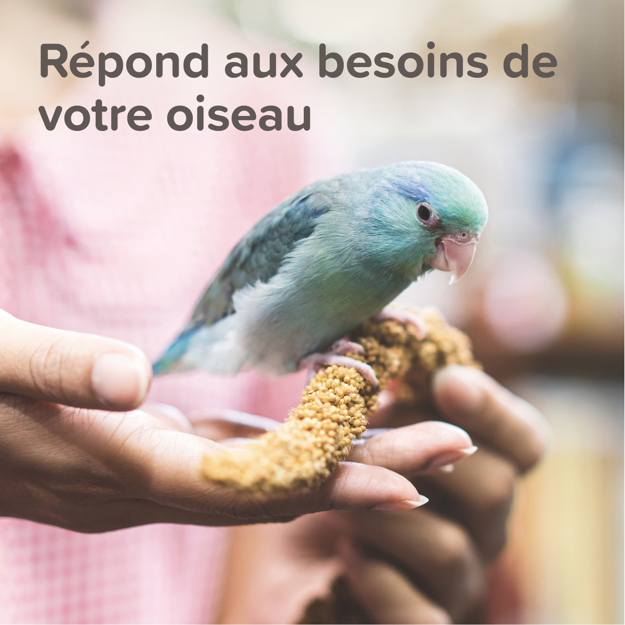 XtraVital Alimentation complète pour Grandes Perruches - 500 g