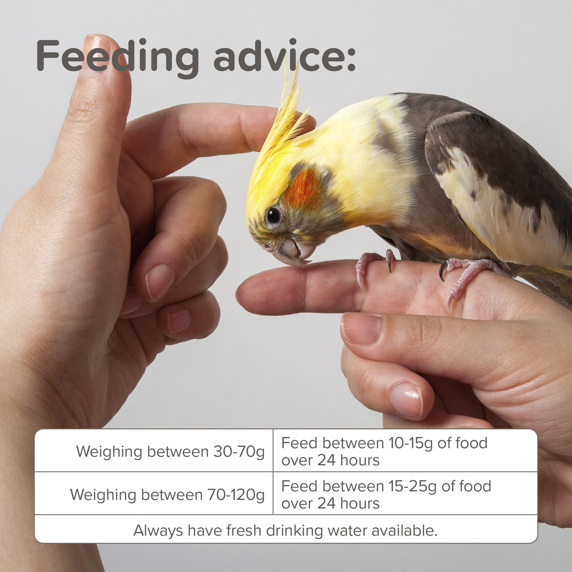 Beaphar XtraVital Large Parakeet Complete Bird Food - 1kg