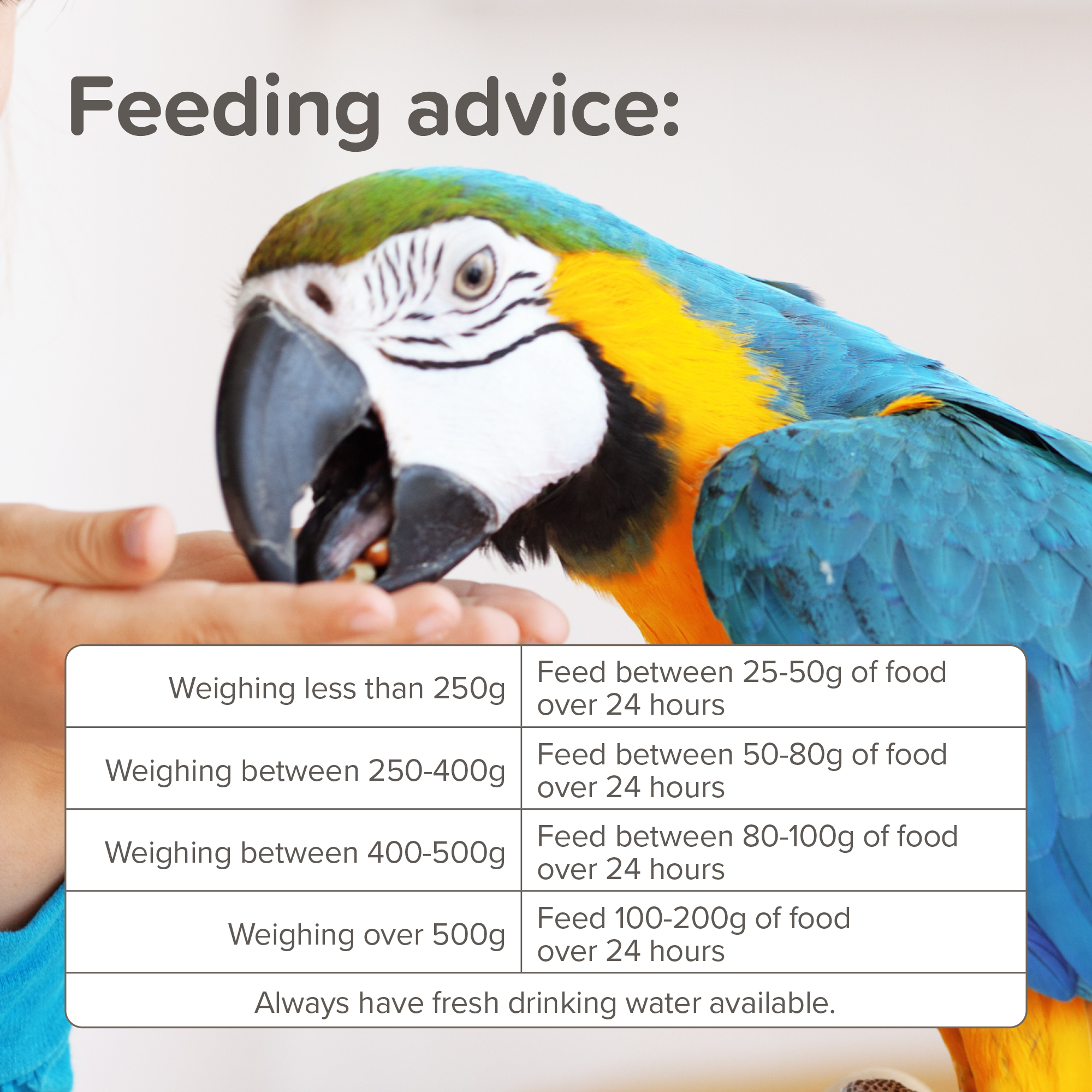 Beaphar XtraVital Parrot Complete Bird Food – 1kg