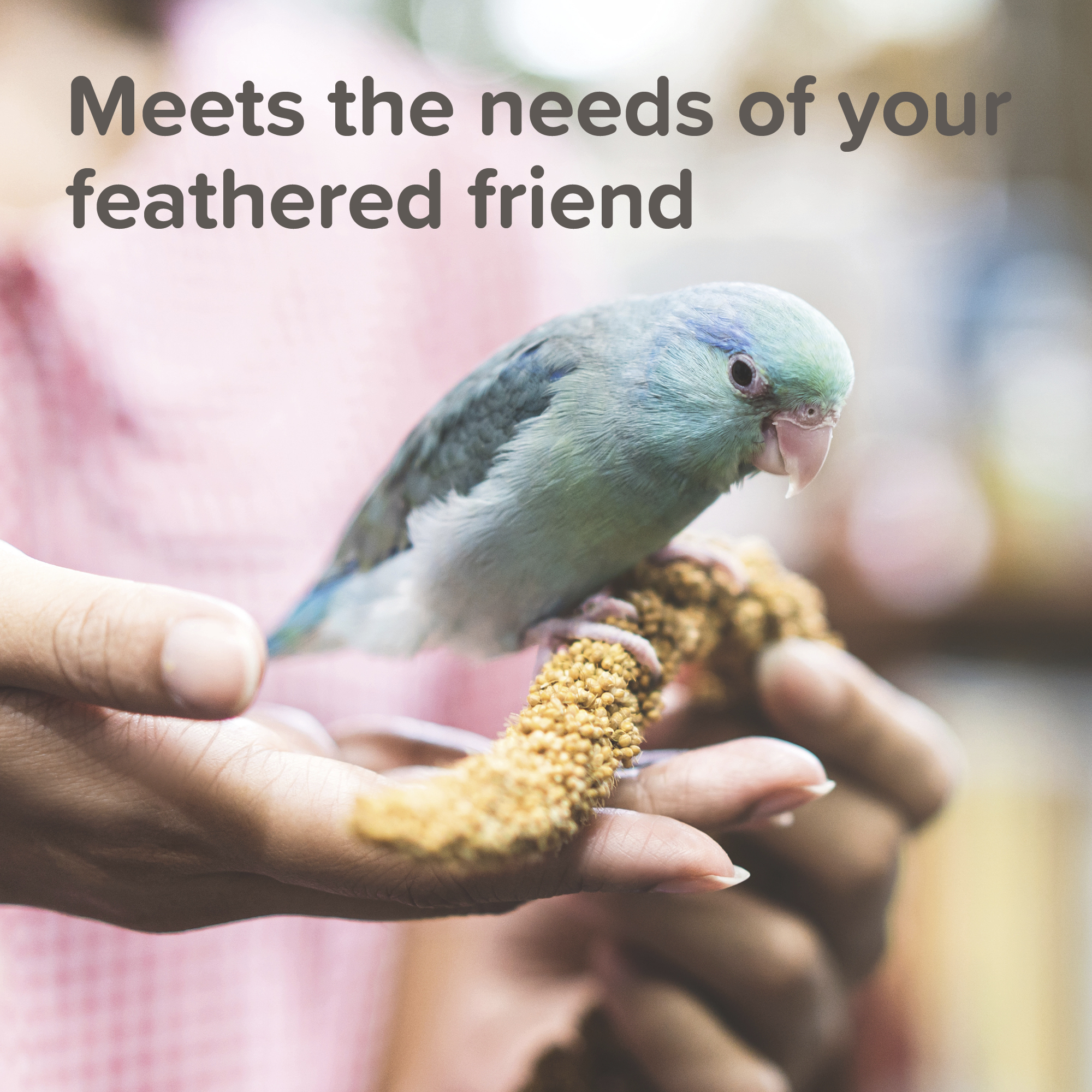 Beaphar XtraVital Parrot Complete Bird Food – 3kg