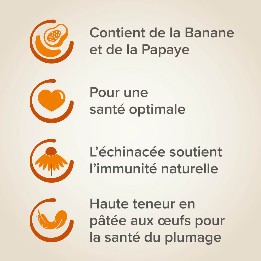 Beaphar XtraVital Alimentation complète pour Perroquets - 3 kg