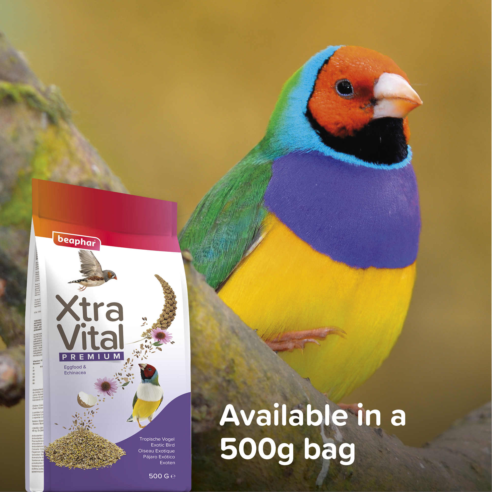 Beaphar XtraVital Exotic Bird Complete Bird Food – 500g