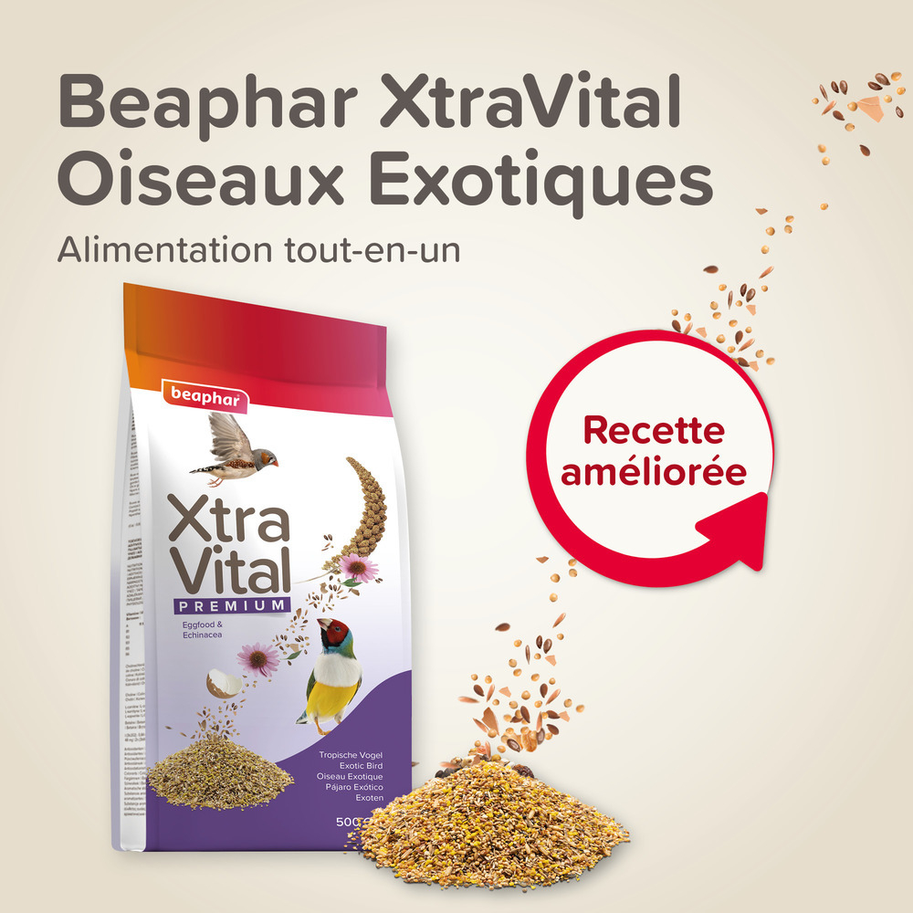 XtraVital Alimentation complète pour Oiseaux Exotiques - 500 g