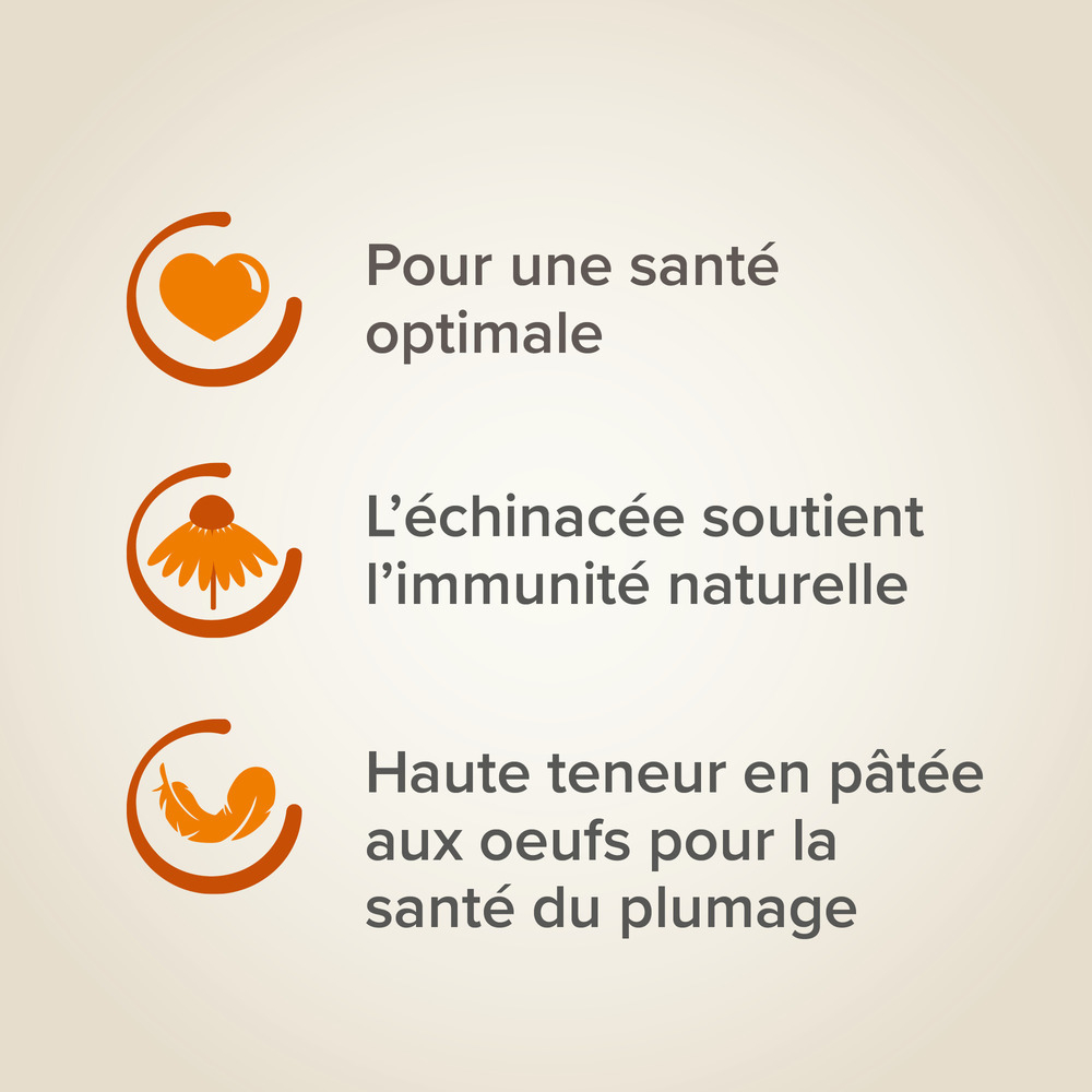 XtraVital Alimentation complète pour Oiseaux Exotiques - 500 g