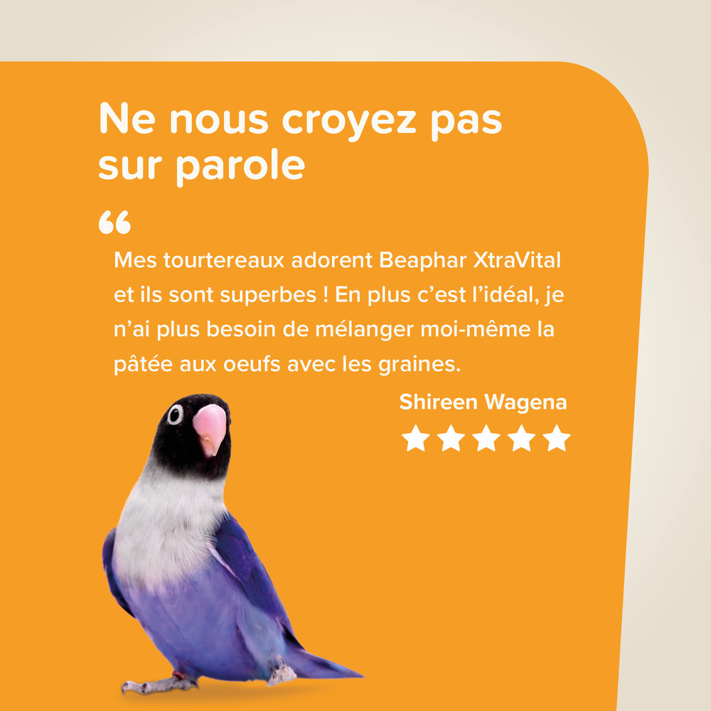 XtraVital Alimentation complète pour Oiseaux Exotiques - 500 g