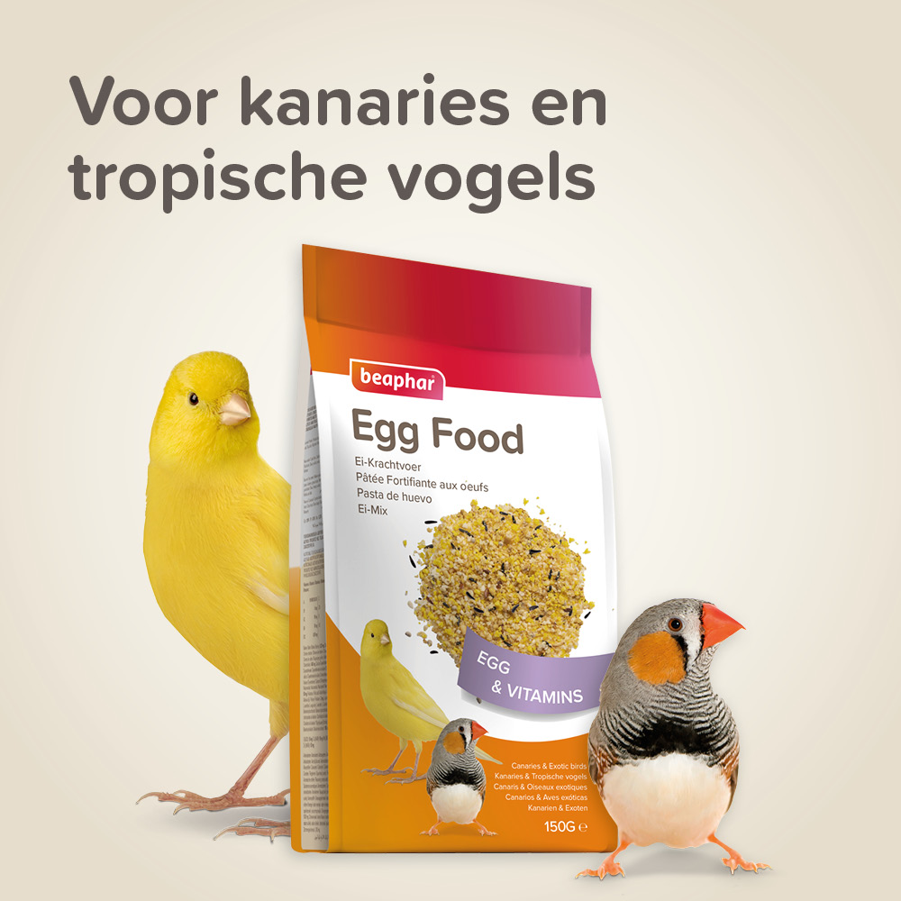 Beaphar Eikrachtvoer kanaries & tropische vogels 150g