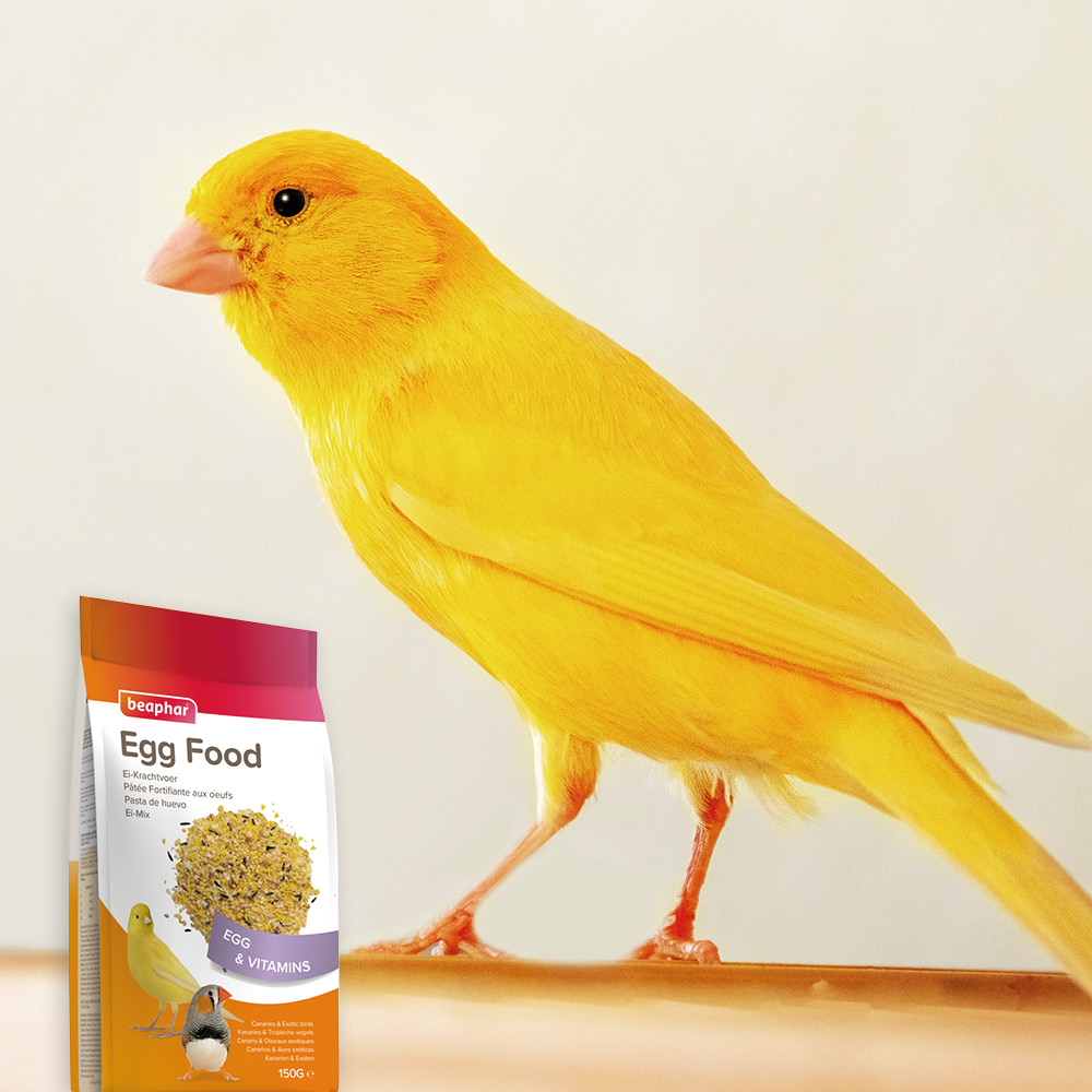Beaphar Eikrachtvoer kanaries & tropische vogels 150g