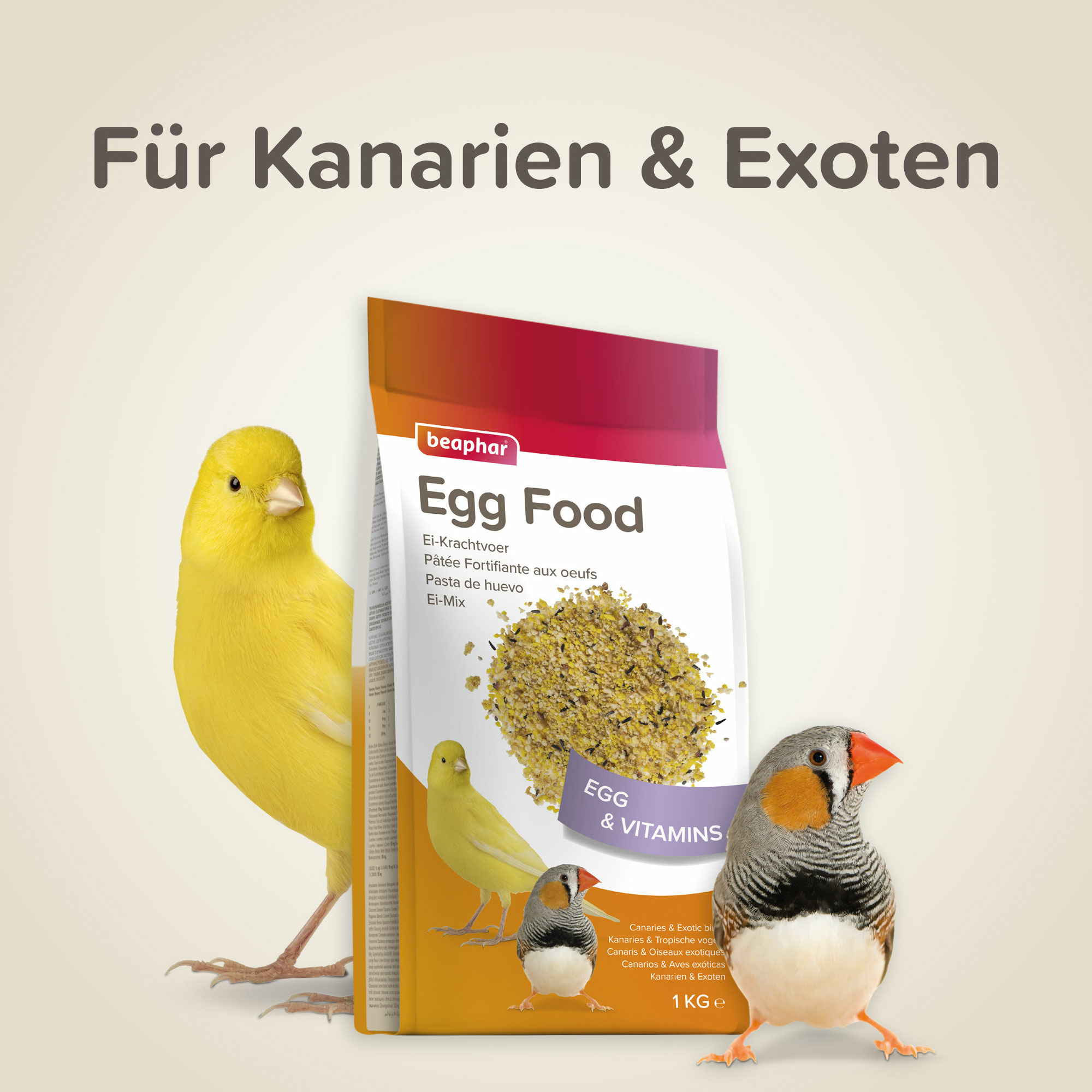 Beaphar Ei-Mix für Kanarien & Exoten, 1kg