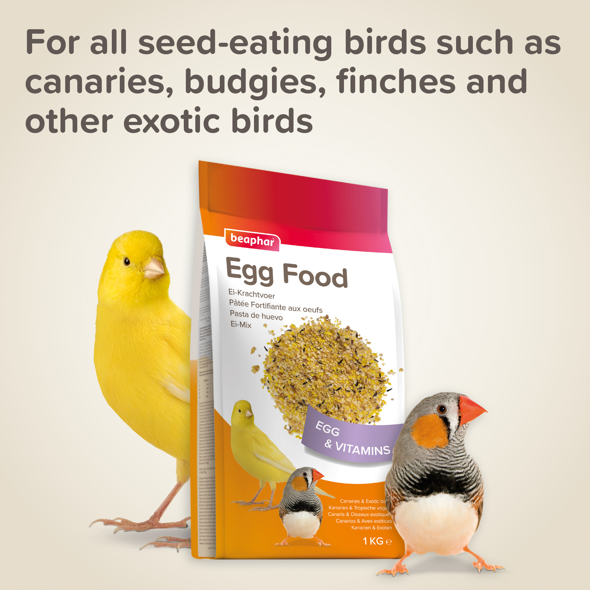 Beaphar Egg Food for Canaries & Exotic Birds - 1 kg