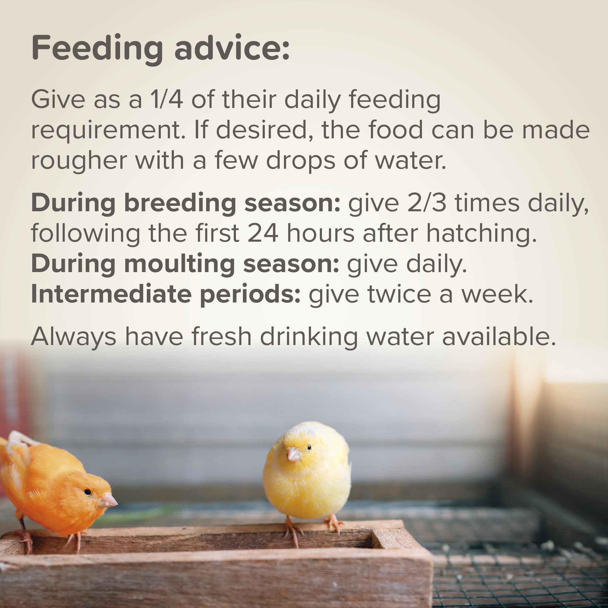 Beaphar Egg Food for Canaries & Exotic Birds - 1 kg