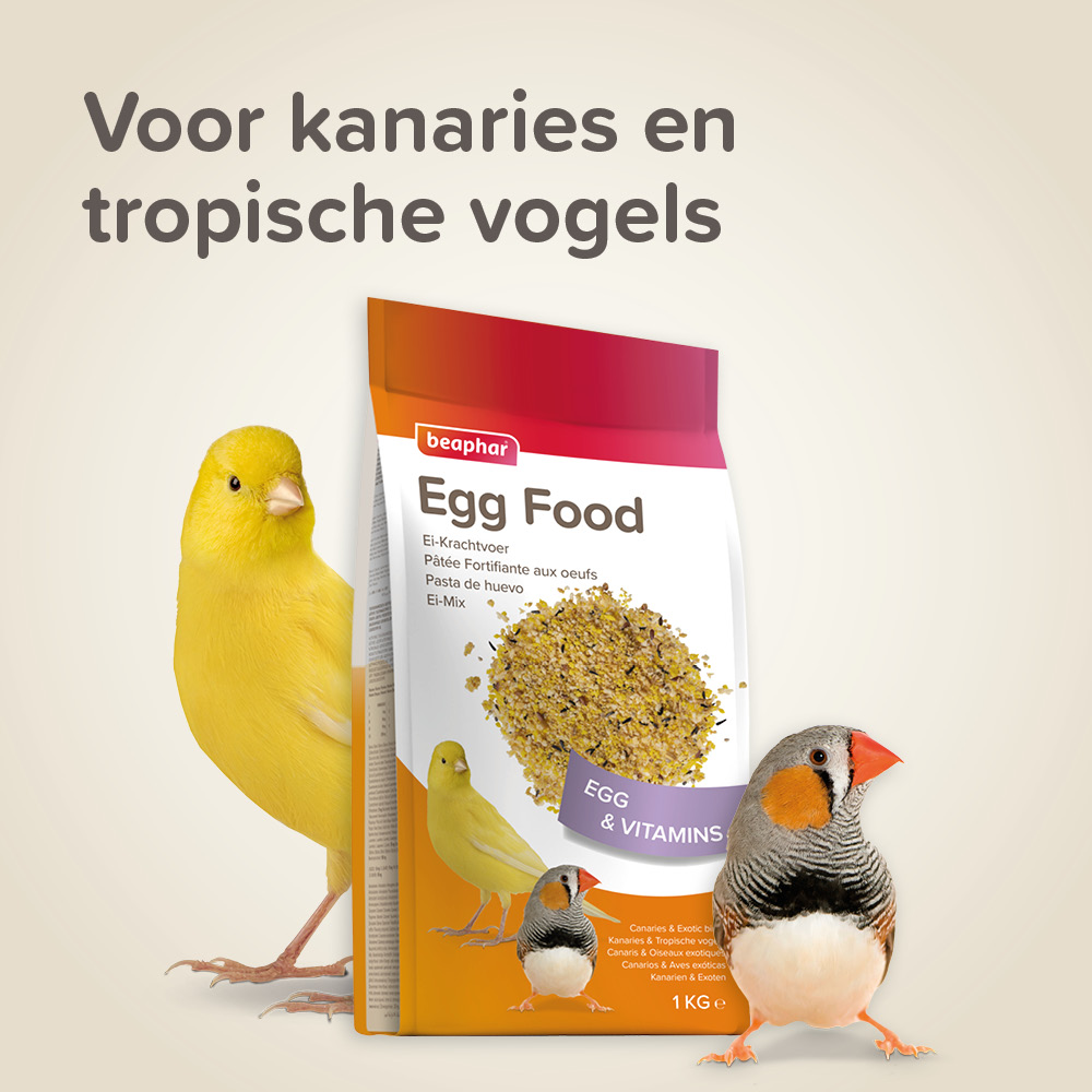 Beaphar Eikrachtvoer kanaries & tropische vogels 1kg