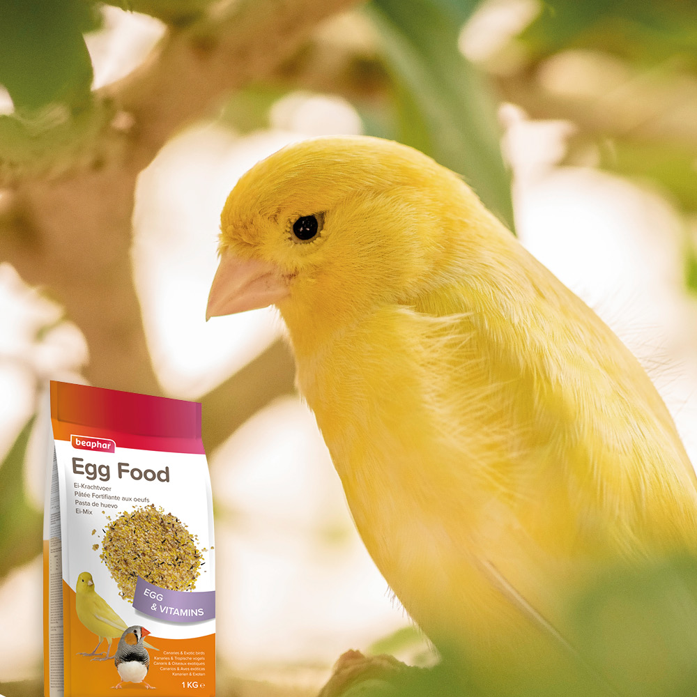 Beaphar Eikrachtvoer kanaries & tropische vogels 1kg