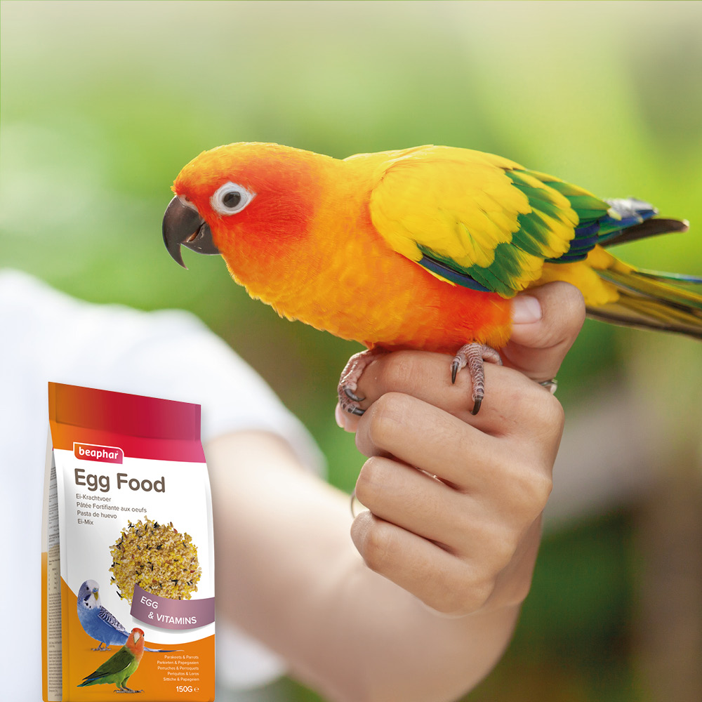 Beaphar Eikrachtvoer parkiet 150g