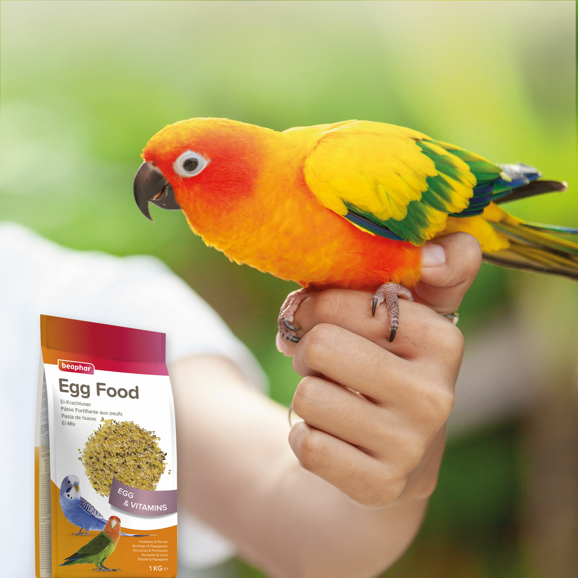Beaphar Ei-Mix für Sittiche & Papageien, 1kg