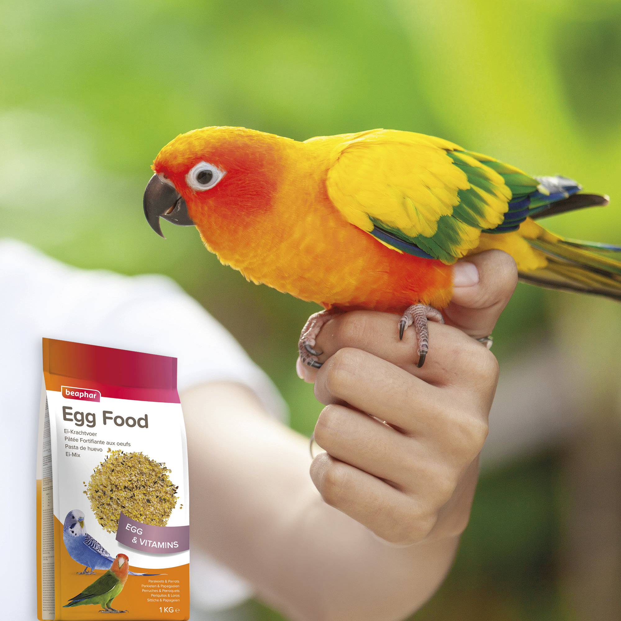 Beaphar Egg Food for Parakeets & Parrots – 1kg