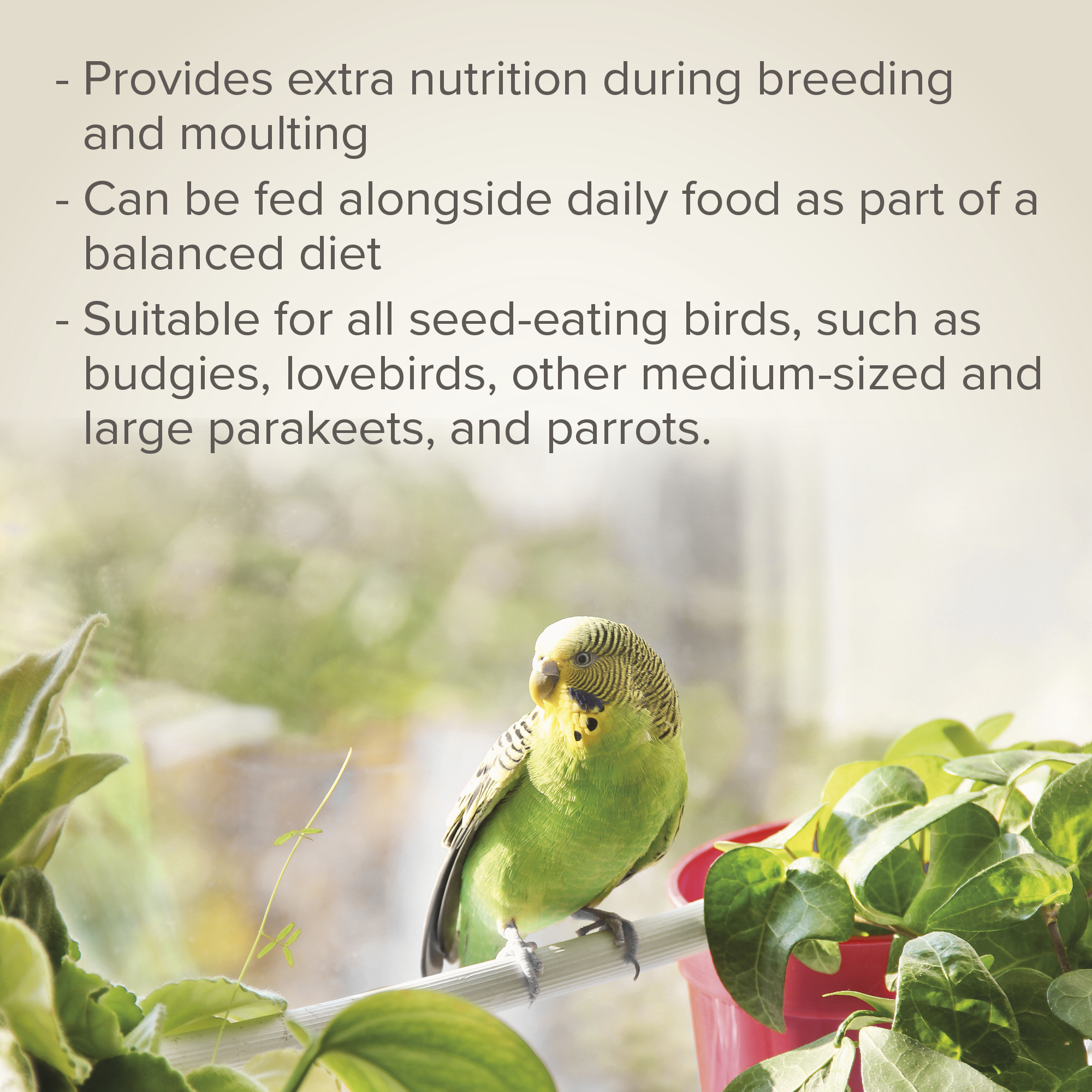 Beaphar Egg Food for Parakeets & Parrots – 1kg