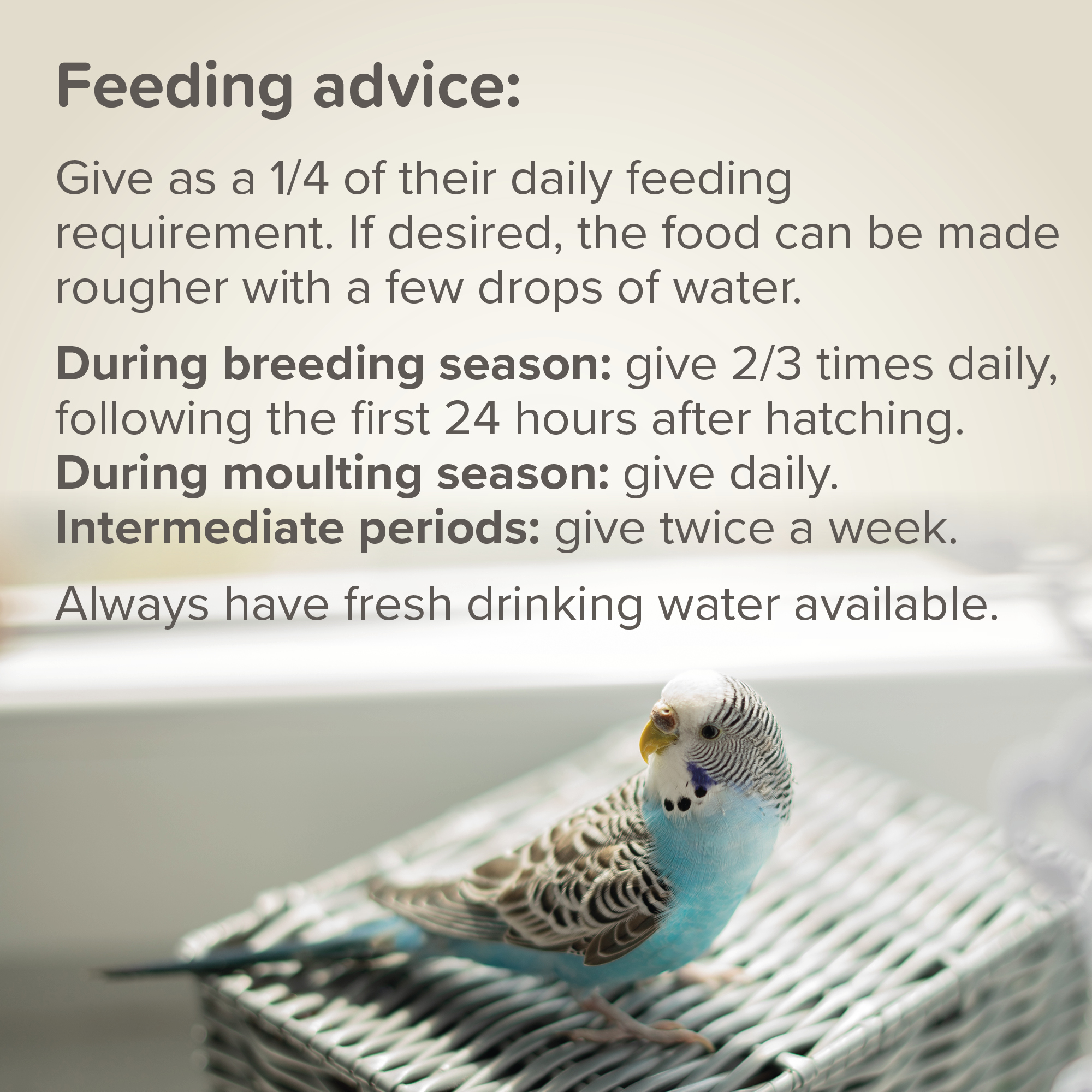 Beaphar Egg Food for Parakeets & Parrots – 1kg